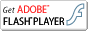 Adobe Flash-Player Download